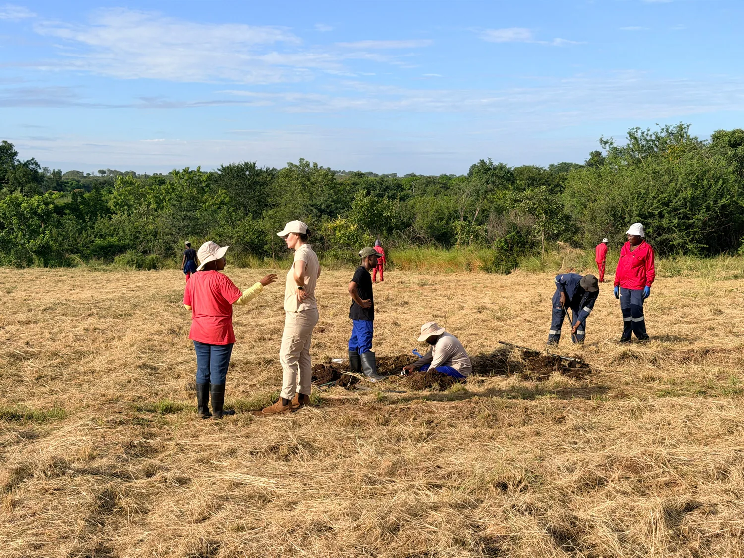 Planting crew working a prepared field at golden hour — the ground-level activation that makes every other part of the project real