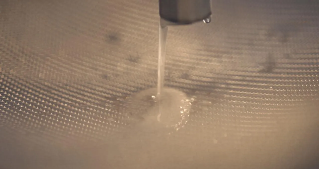 Cold-pressed marula oil — the finished product bound for global offtake