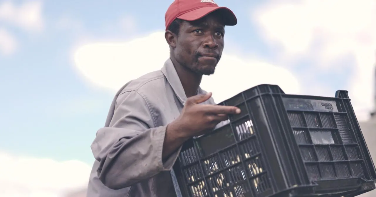 Portrait of a marula custodian holding a collection crate — first harvest, Mpumalanga, 2026