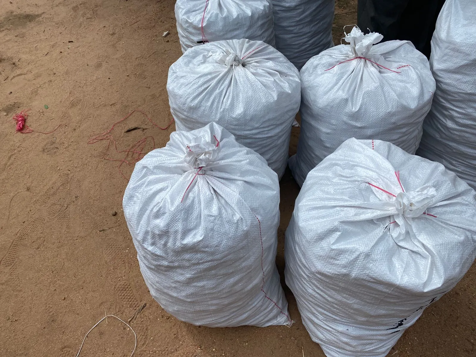 Filled and labelled kernel sacks laid out on the ground at a village collection point
