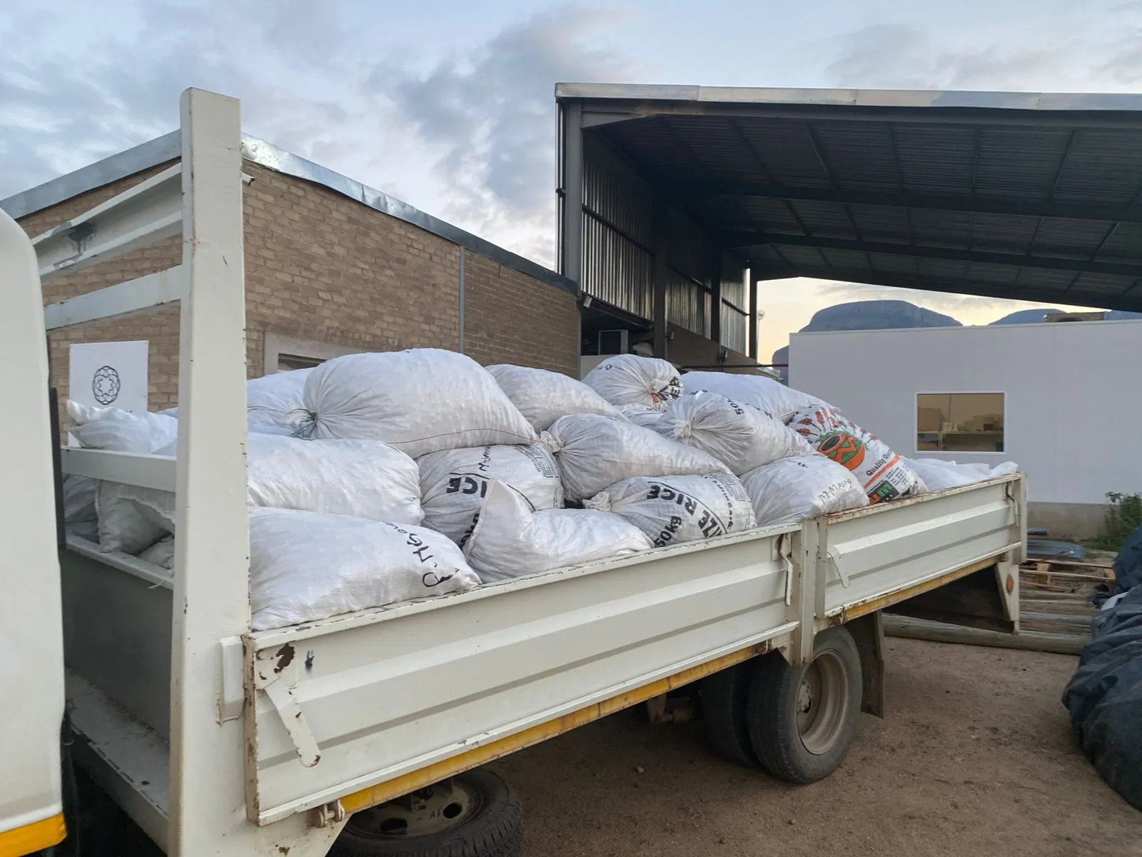 A truck-load of kernel sacks arriving at the processor shed at dusk