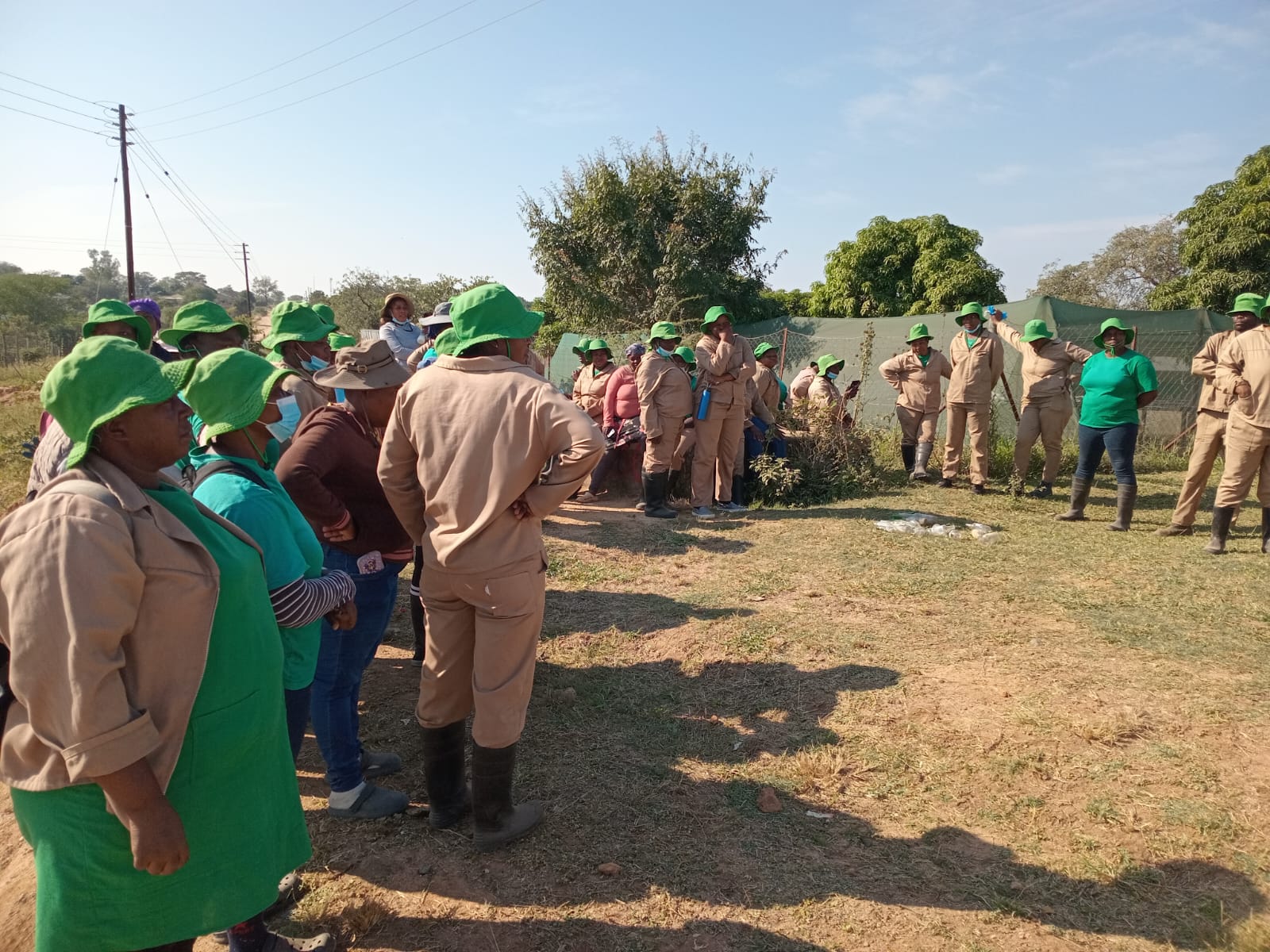 The team gathered around a felled invasive tree during the day's work.