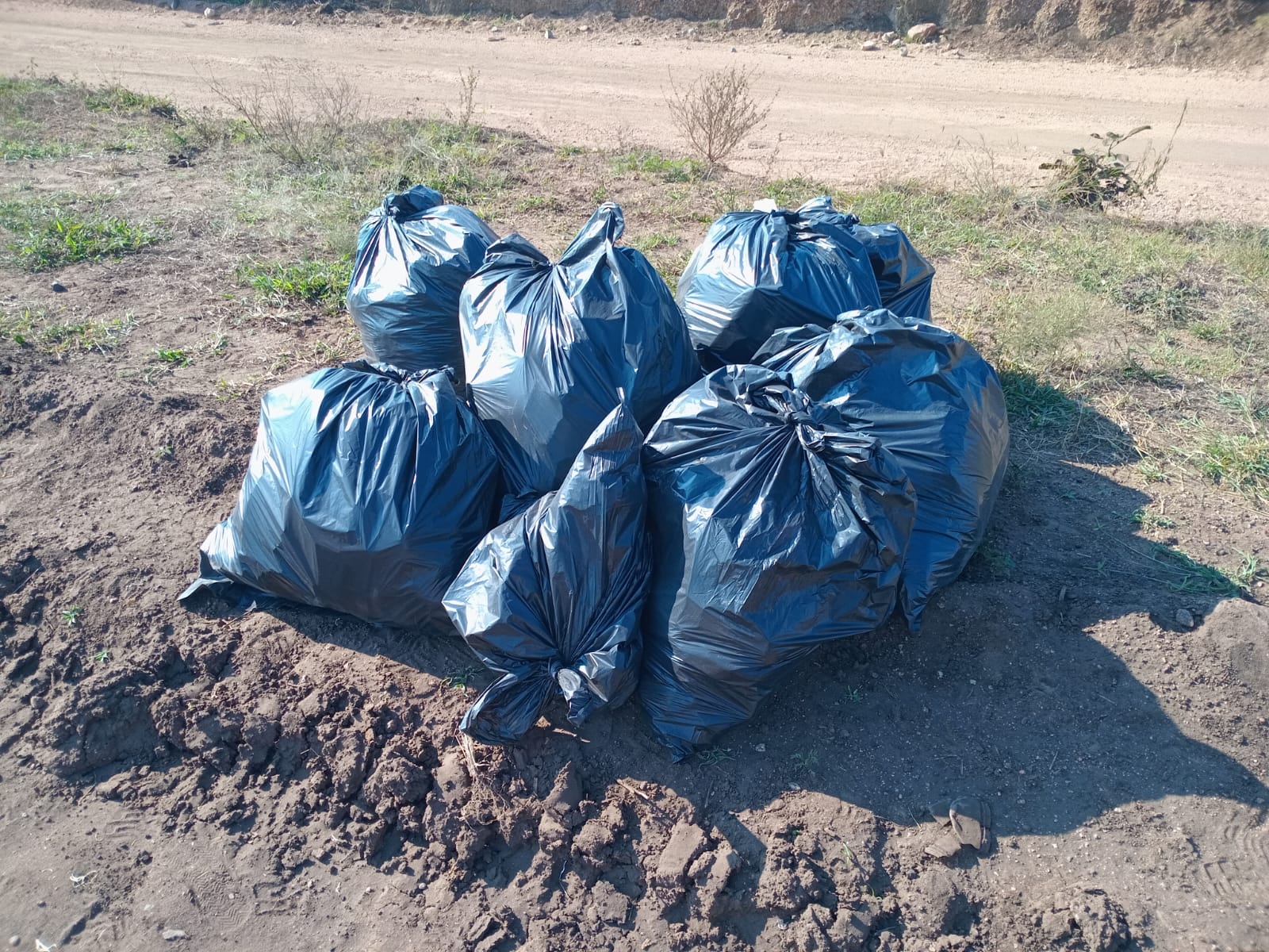 Bags of waste stacked at the close of the day's work.