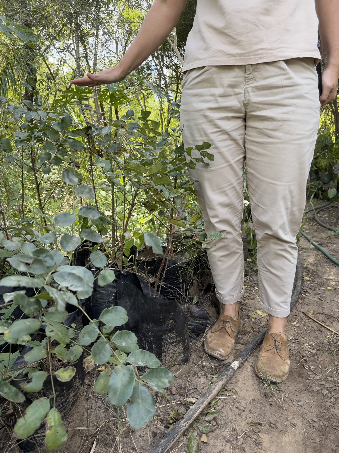 Jess Maclarty of the Londolozi Ripple Fund inspects a freshly potted sapling at Tiyimeleni Nursery, Belfast.